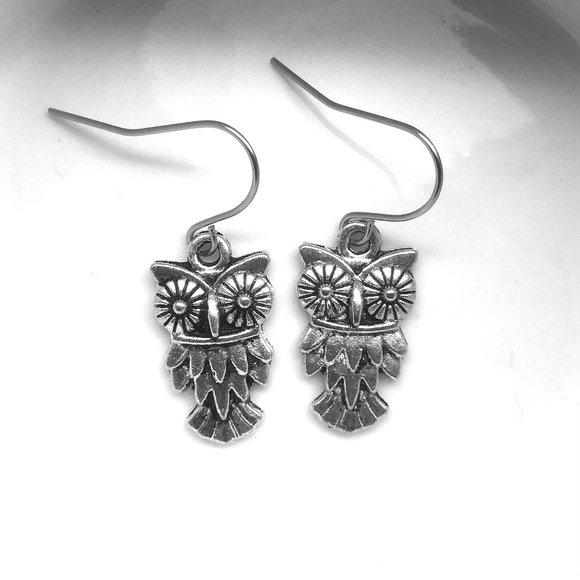 Miniature Adorable Cute Feathered Owl lovers Hypoallergenic Ear wires Earrings - Picture 4 of 5